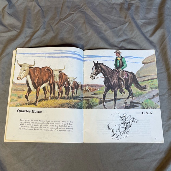 Vintage 1978 Super Book Of Horses by Kathleen Daly Soft Cover - Picture 5 of 9